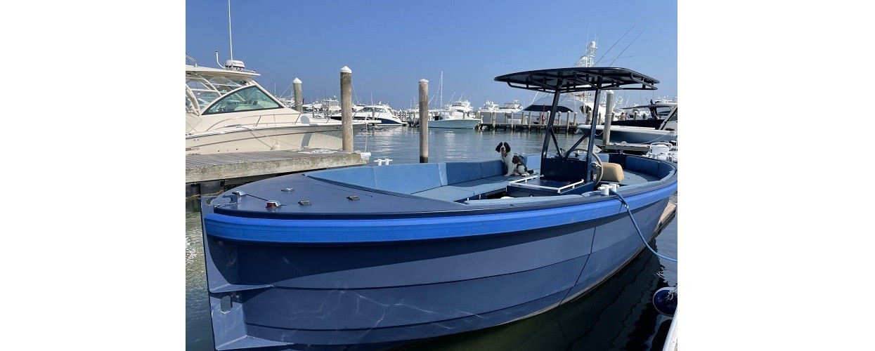 hamptons boat slides