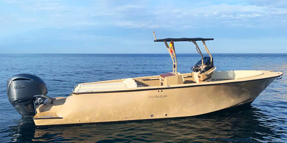 hamptons boat slides