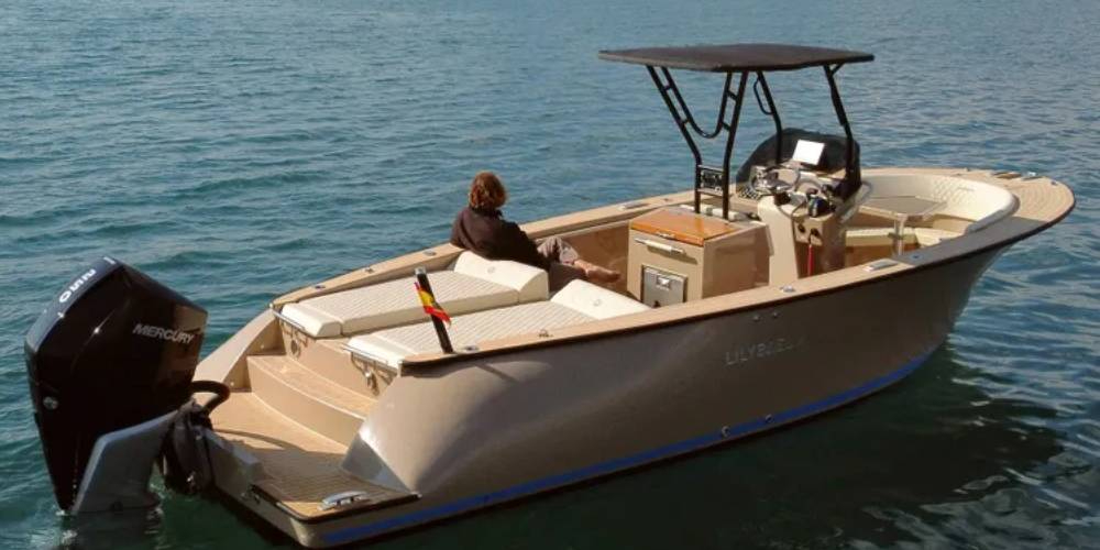 hamptons boat slides